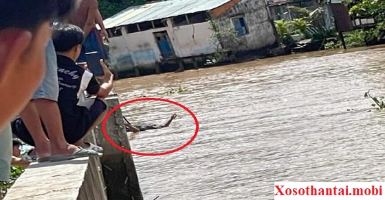 Ý nghĩa giấc mơ thấy xác chết em bé