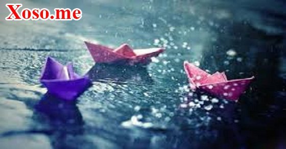 Mơ thấy mưa nhỏ