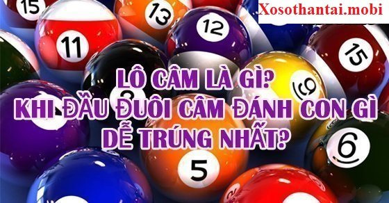 đầu lô câm đánh con gì